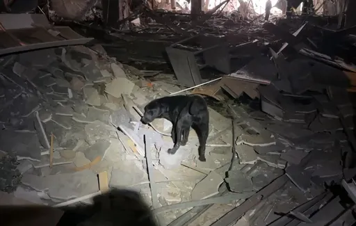 台中新光三越氣爆慘不忍睹　搜救犬進入「戰場」影片曝光！逐層搜索受困者