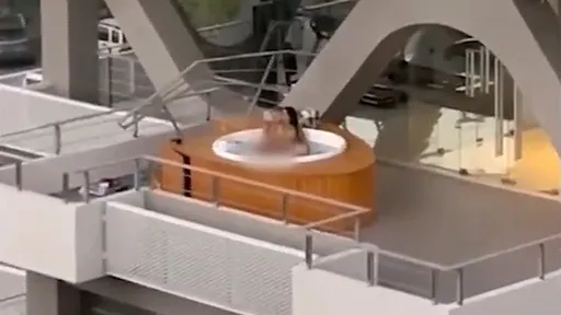 影片|豪宅陽台「公然鴛鴦浴嘿咻」 他倆全裸激戰讓鄰居怒了