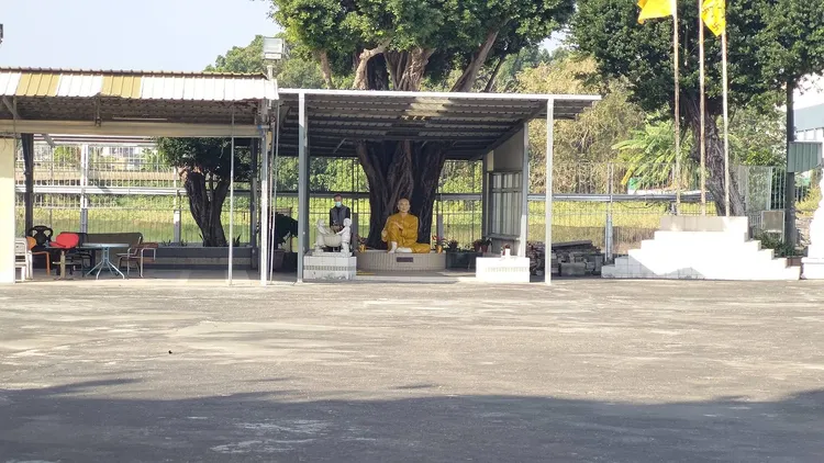 1971年成立的龍發堂曾是大型非法的精神病患者長期居住地。翻攝畫面