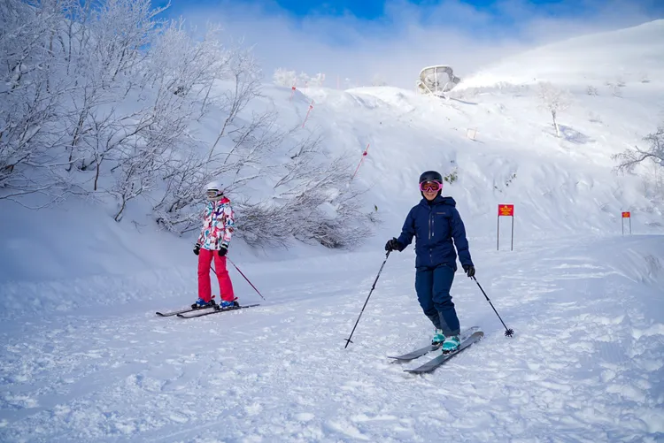 柔細粉雪是滑雪客心中的珍寶。田欣雲攝影
