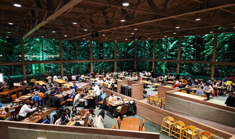 被針葉林環繞的「森林餐廳」。田欣雲攝影