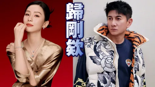 驚!夫妻財產又變更 劉詩詩轉讓股權給吳奇隆