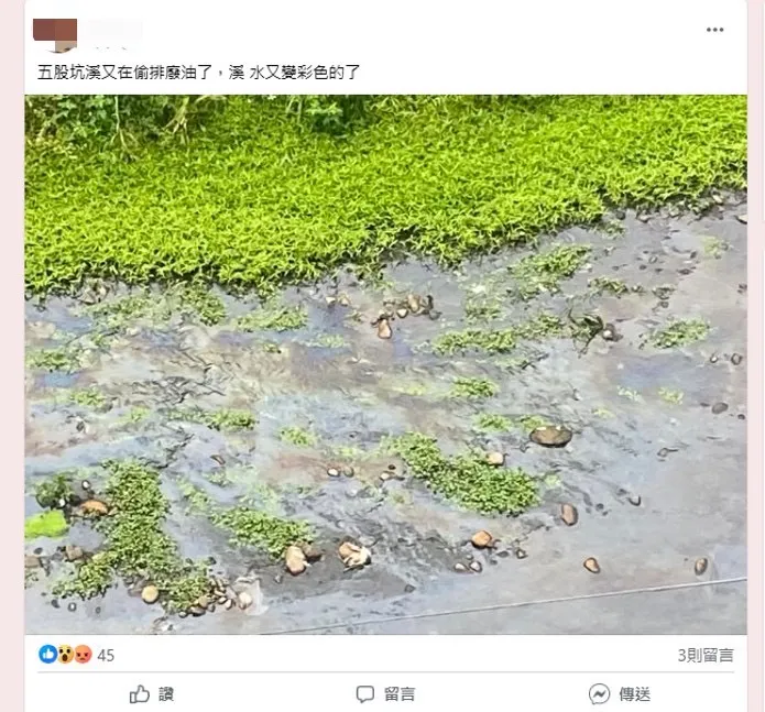民眾網路貼文指出五股坑溪有偷排廢油情形，環保局立即派員前往溯源稽查。翻攝自我是五股人臉書社團