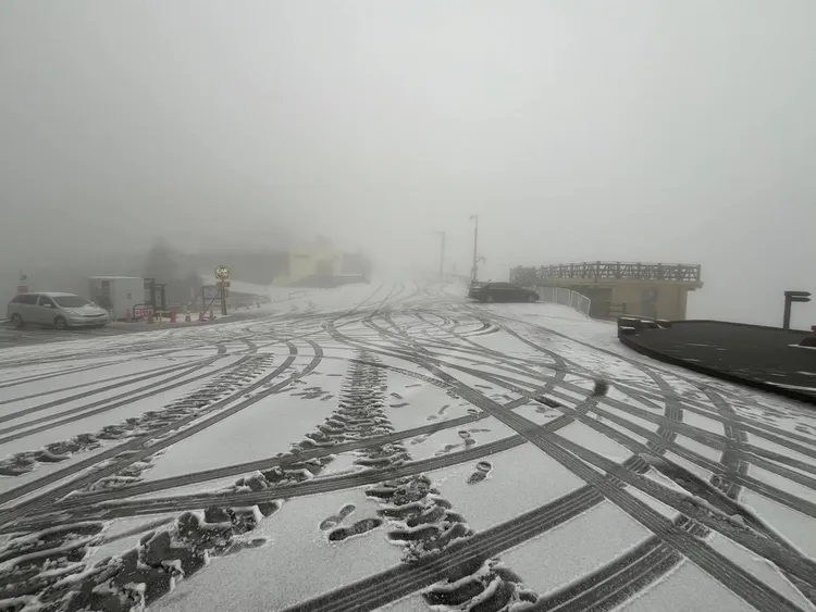 路面積雪留下遊客腳印及車輛胎痕。林業署南投分署提供