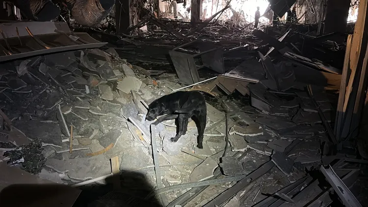 消防局搜救犬在氣爆現場搜索人命。民眾提供