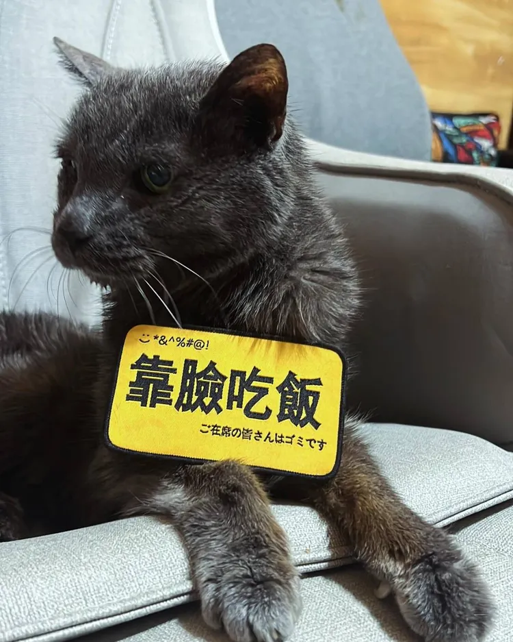 高BOBO高齡22歲離世。光意娛樂提供