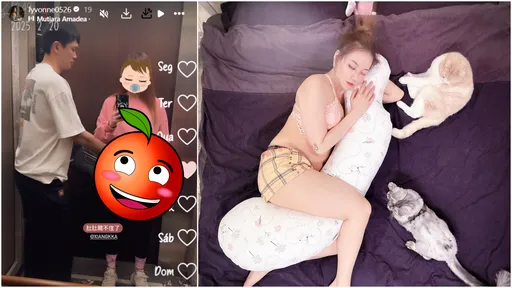 劉雨柔「孕肚藏不住」近況照曝!胡凱翔甜輕撫 2人罕見同框