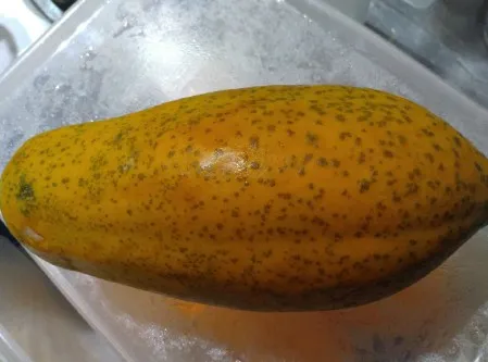 北市衛生局前往日春木瓜牛奶稽查。北市衛生局提供