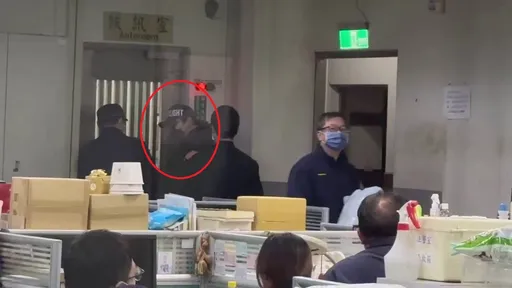 王大陸量身訂做「百萬閃兵方案」　集團手法曝光！演藝圈還有多人被逮