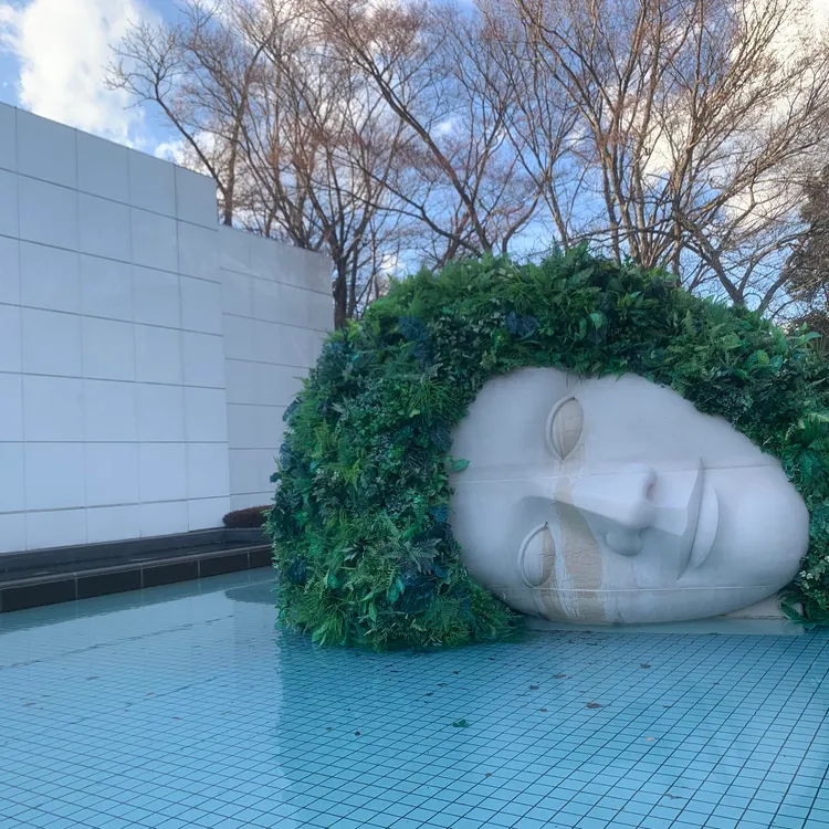 S媽後來又再換圖，上傳了一張側躺在水面的大型白色人頭雕像，不再使用自己的肖像照。