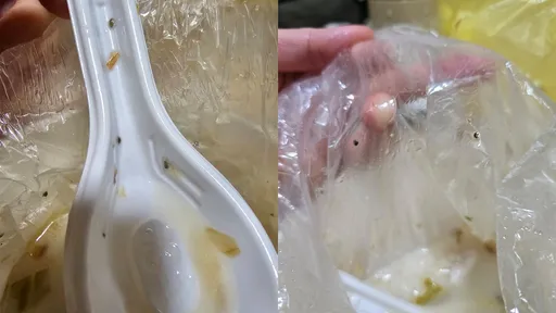 外送叫虱目魚粥「整碗是蟲」 吃3分之2才發現...店家回了他更氣