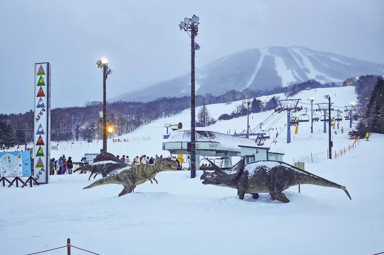 安比高原滑雪場被譽為「北緯40度的粉雪天堂」。田欣雲攝影