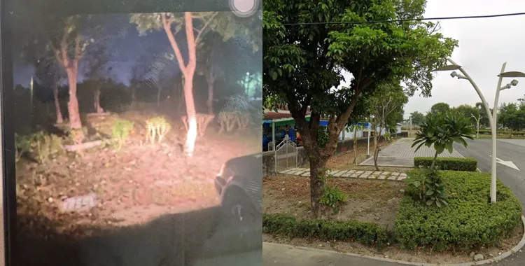 228是小婷生日，她卻選擇在連假時與2名網友，前往僻靜的生命紀念園區輕生。合成照