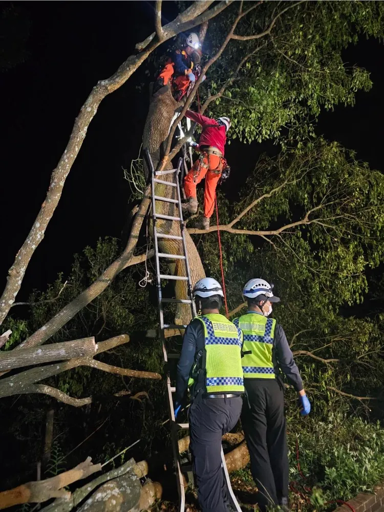 消防人員架梯救出男子，但他已明顯死亡。民眾提供