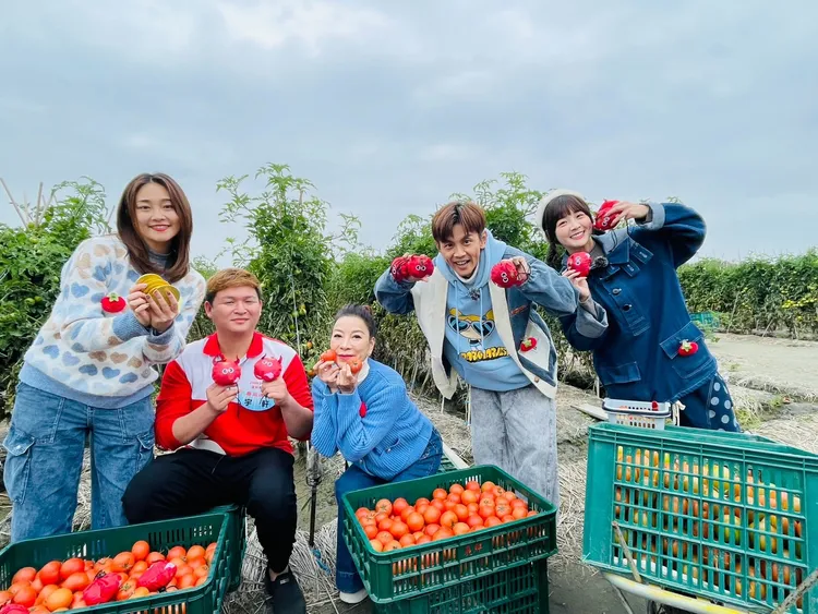 《綜藝新時代》到雲林西螺體會番茄達人。民視提供