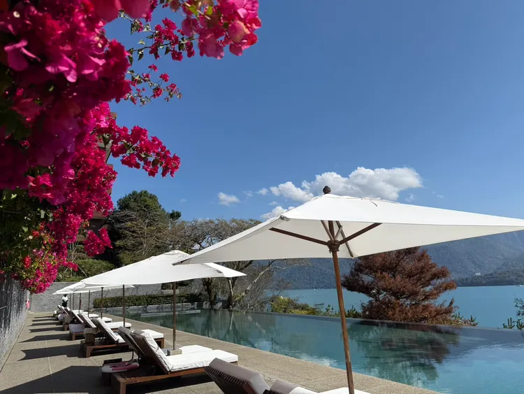 日月潭涵碧樓目前九重花已盛開。業者提供