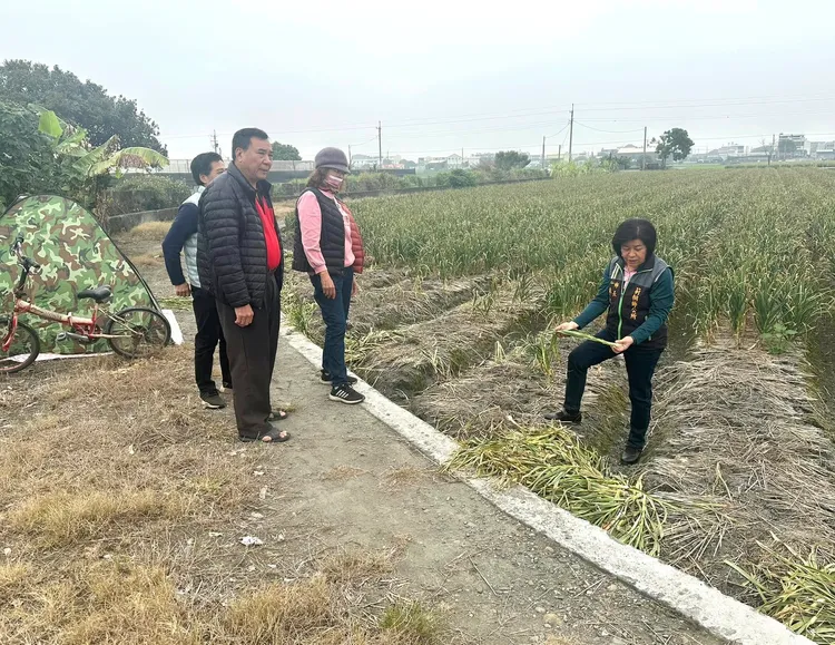 莿桐鄉長廖秋蓉前往農民遭竊的蒜田查看，擔心產季到宵小出沒。取自臉書