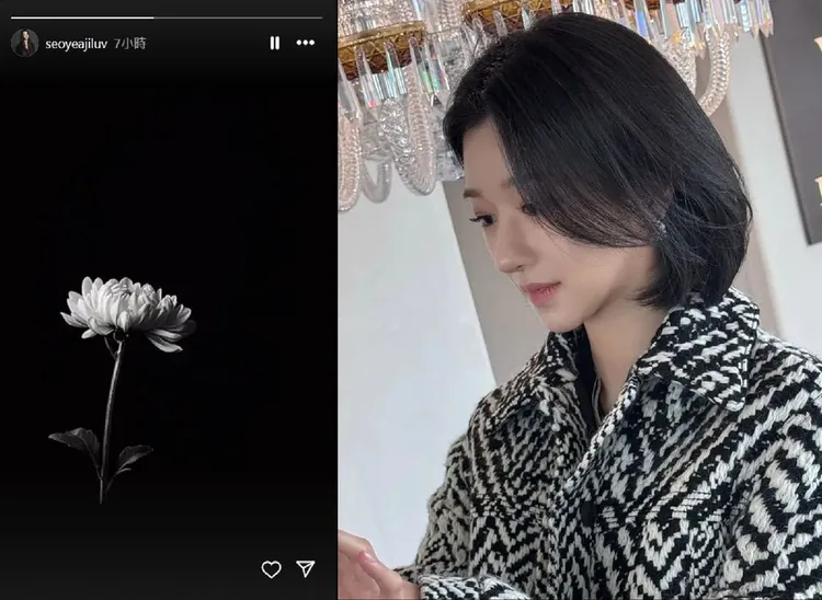 徐睿知在金賽綸過世時，po白菊花悼念。翻攝徐睿知IG