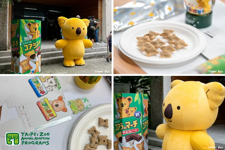 4月3日、4日將舉辦「小熊餅乾DIY」活動。台北市立動物園提供