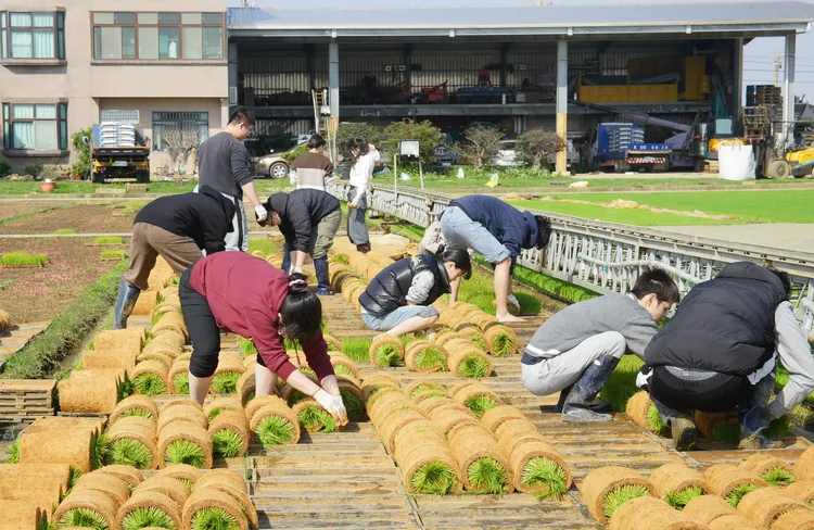元智學生走入田間體驗有機耕作。元智大學提供
