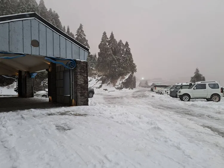 合歡山雪景。林業保育署提供