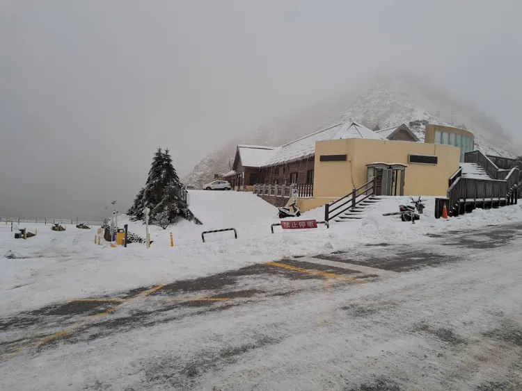 合歡山積雪仍有11.5公分。林業保育署提供