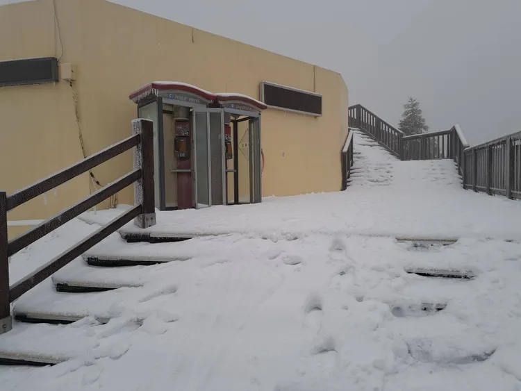 合歡山雪景。林業保育署提供