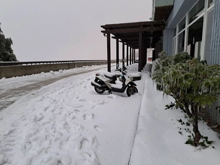 松雪樓前白雪皚皚。林業保育署提供