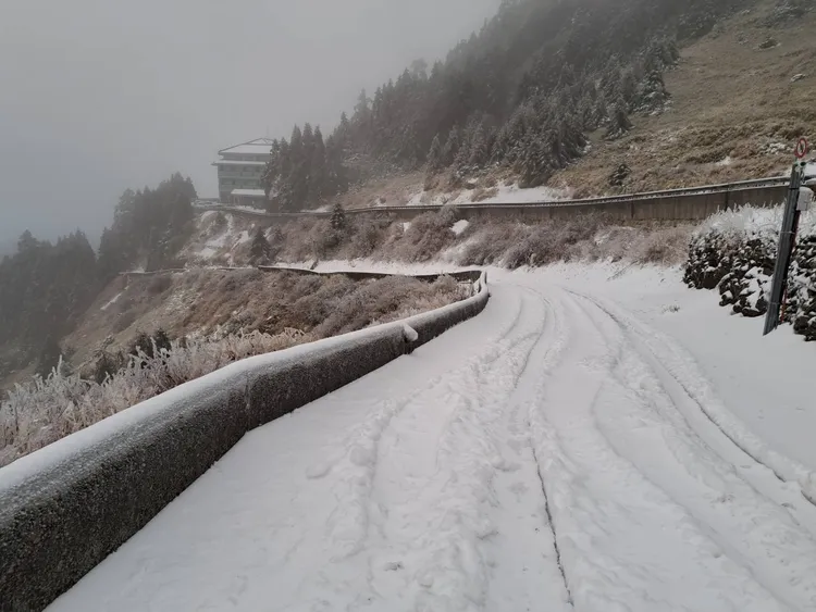 道路被積雪覆蓋。林業保育署提供