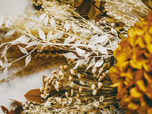 壹苹派生活美语 干燥花的永恒之美