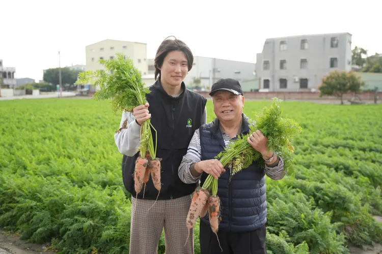 將軍區是台南市種植胡蘿蔔面積最大的區。田欣雲攝影