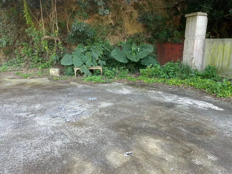 死者遭遺棄在產業道路上。翻攝畫面