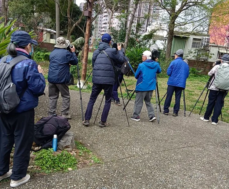 鳥友搶拍。拍鳥俱樂部黃蜀婷提供