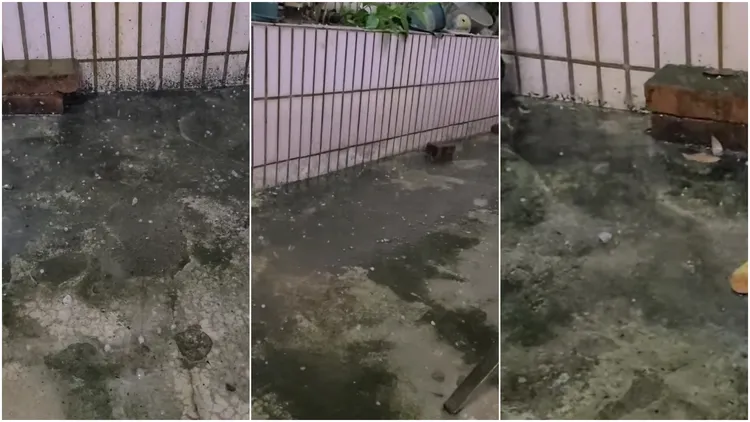 汐止民眾分享下冰雹景象。翻攝《汐止集團》臉書