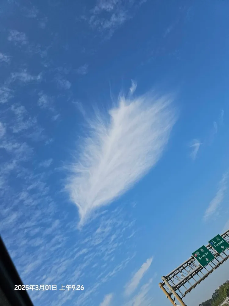 藍天白雲中的「天空羽毛」奇景。讀者提供