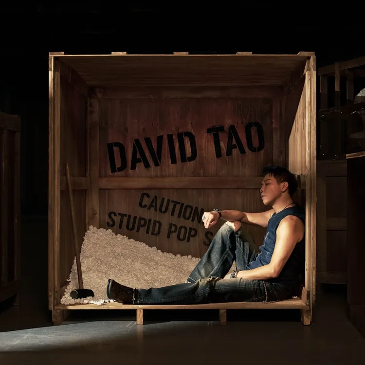 陶喆推出新單曲《Stupid Pop Song》。偉大文化提供