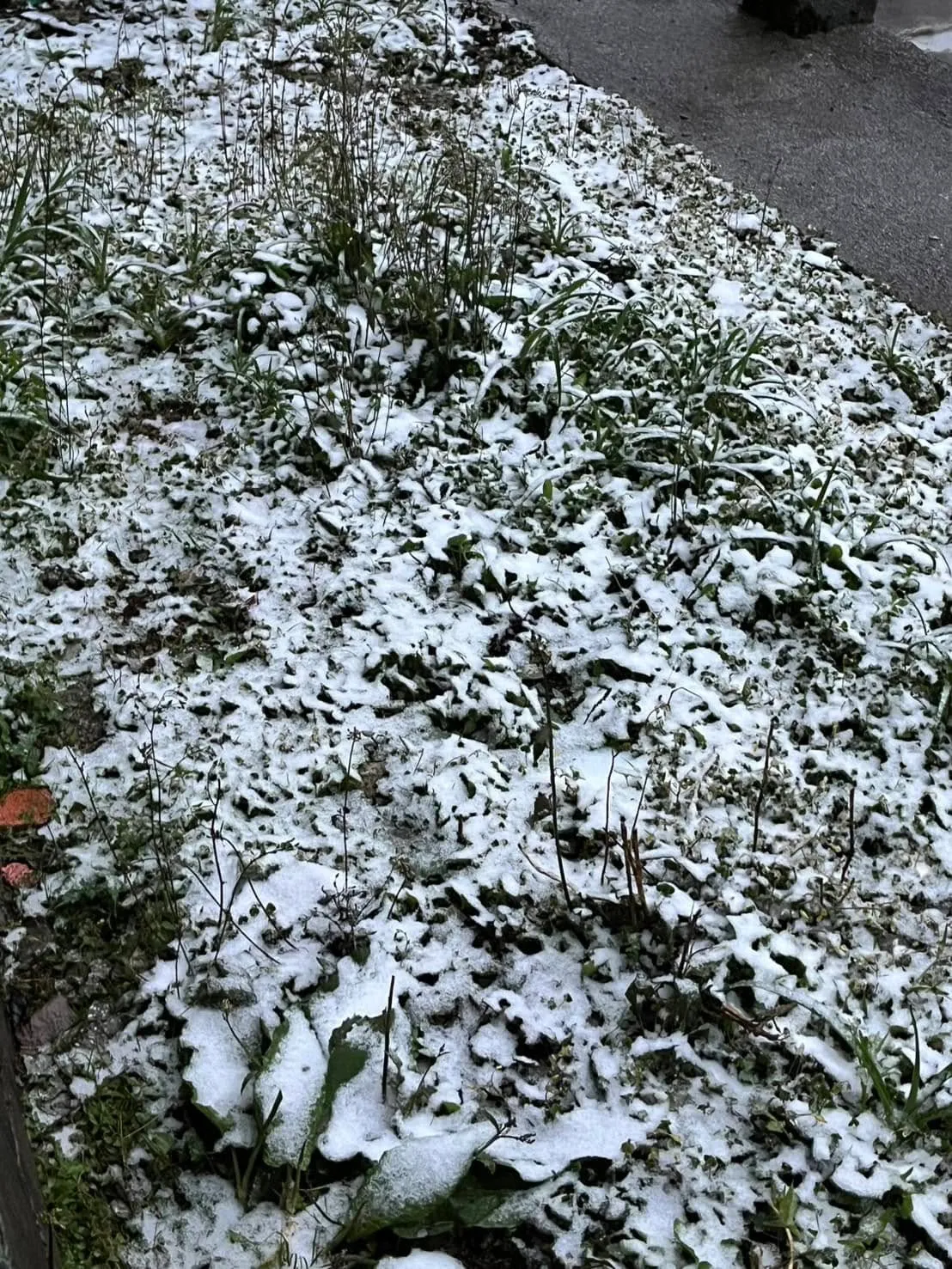 新竹縣尖石鄉下雪了。翻攝《新竹縣政府》臉書