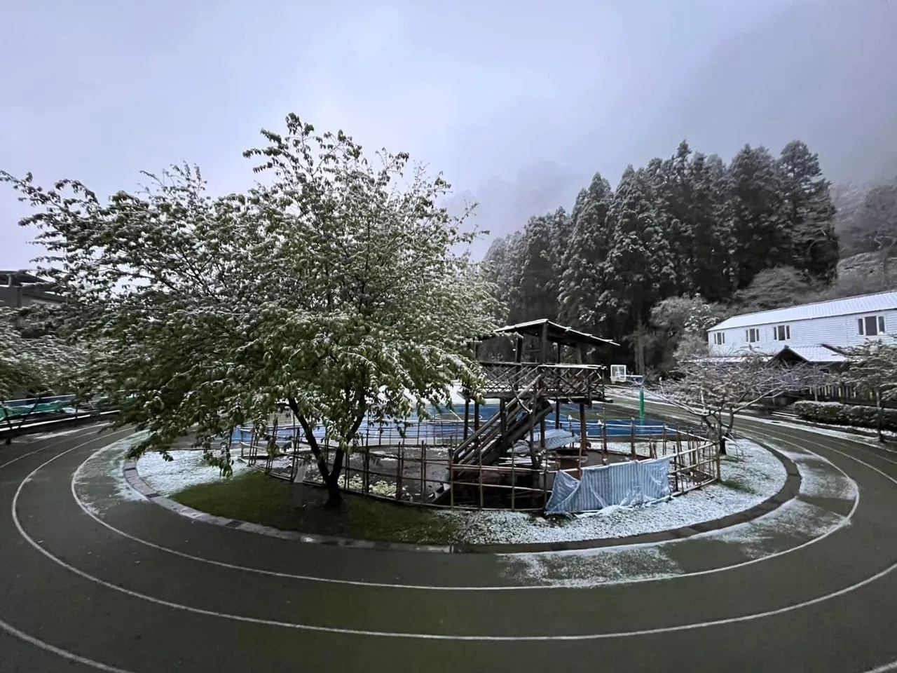 新竹縣尖石鄉下雪了。翻攝《新竹縣政府》臉書