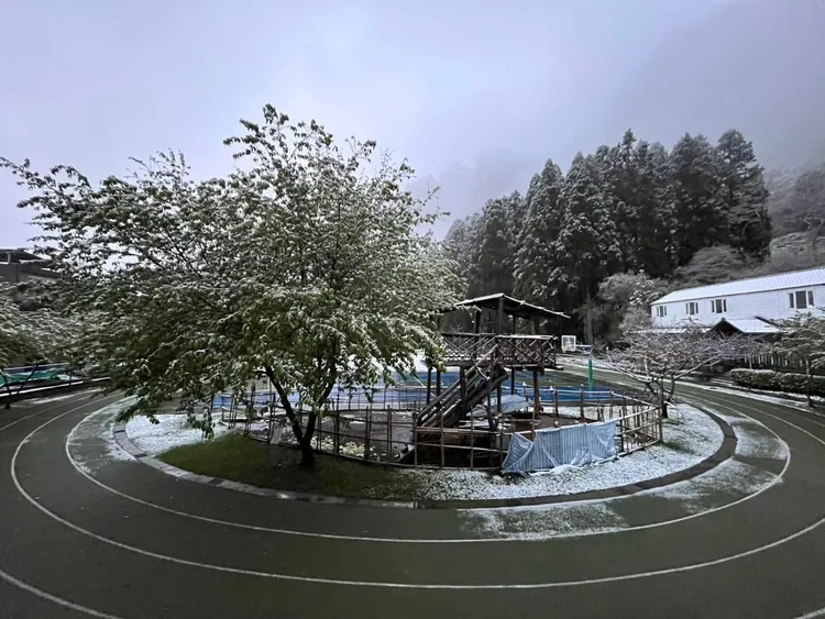 新竹縣尖石鄉下雪了。翻攝《新竹縣政府》臉書