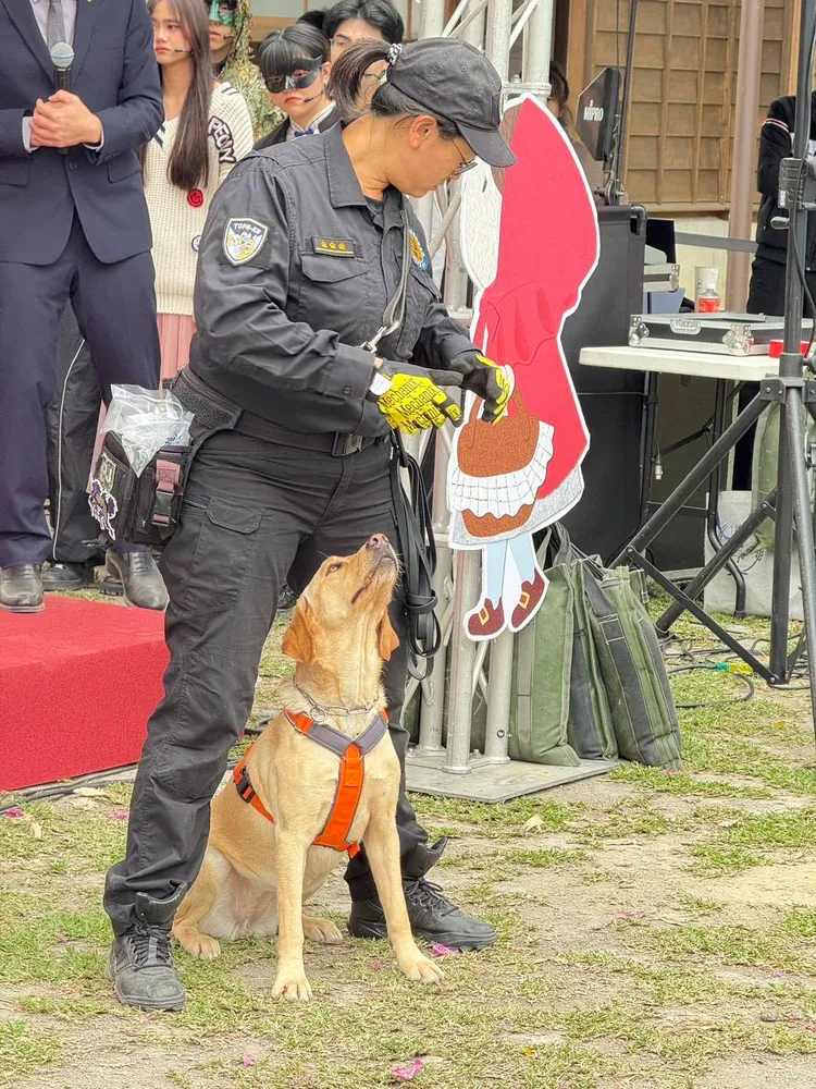 Uhoo是全台唯一會緝毒也會搜救的兩棲型警犬。民眾提供