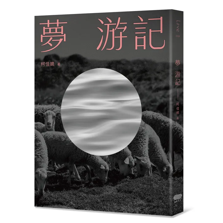 柯佳嬿首本長篇小說《夢 游記》。重版文化提供