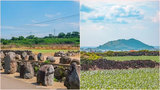 旅遊注意！濟州島連續兩天停電　一度原因不明數千戶受影響