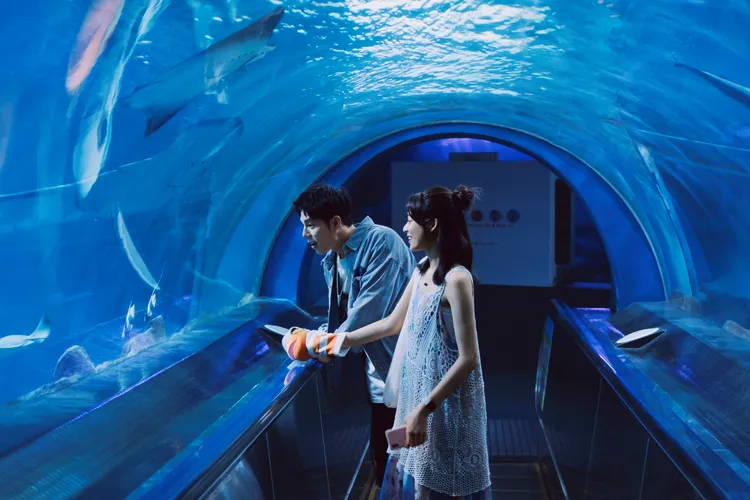 兩人進入大學後，將年輕人的約會都體驗了一次。紅杉娛樂提供