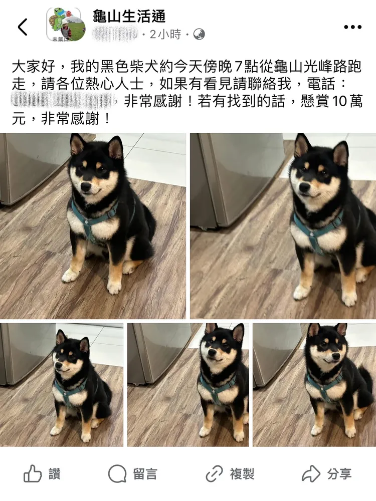 愛犬走失，飼主一度提供10萬元懸賞。龜山警分局提供
