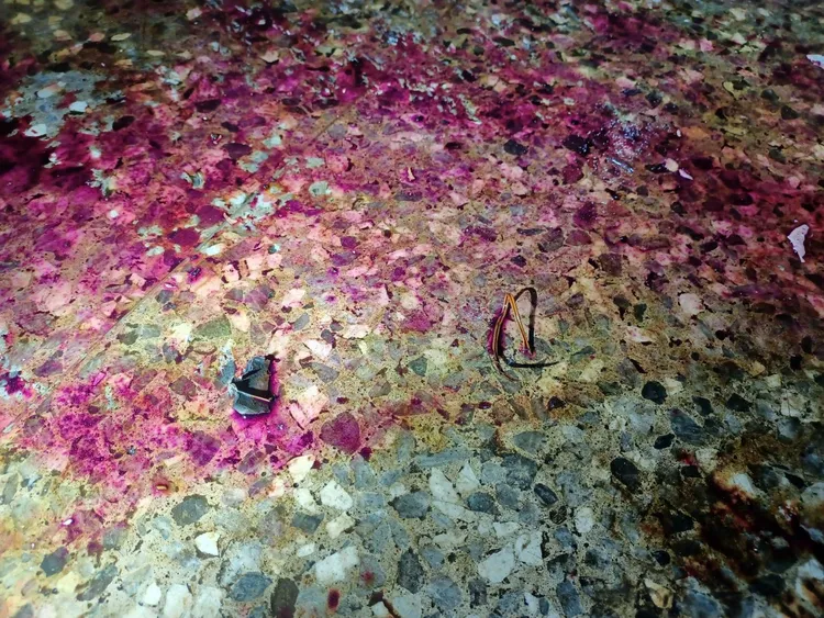 爆裂物炸開後，紅色染料噴濺了一地，現場相當狼狽。翻攝畫面