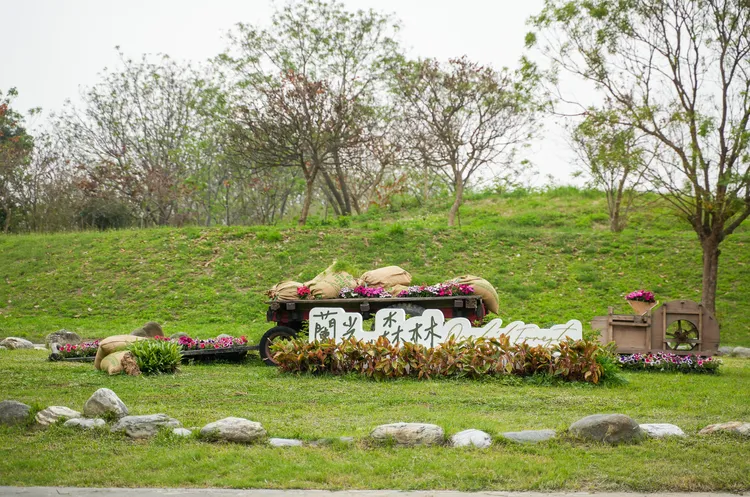 本屆蘭展共規劃了四大場域，包括展館區、公園區、會議區及蘭花廣場。田欣雲攝影