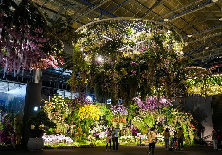 主題館布置精彩，好看好拍。田欣雲攝影