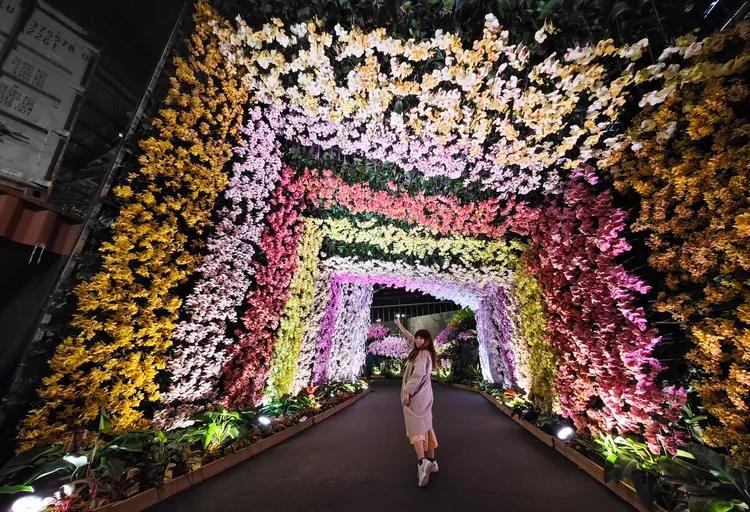 主題館以大自然作為主要的設計理念。田欣雲攝影