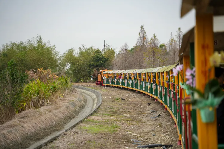 蘭展期間台糖烏樹林休閒園區特別復駛五分車「蘭展展期專線」。田欣雲攝影