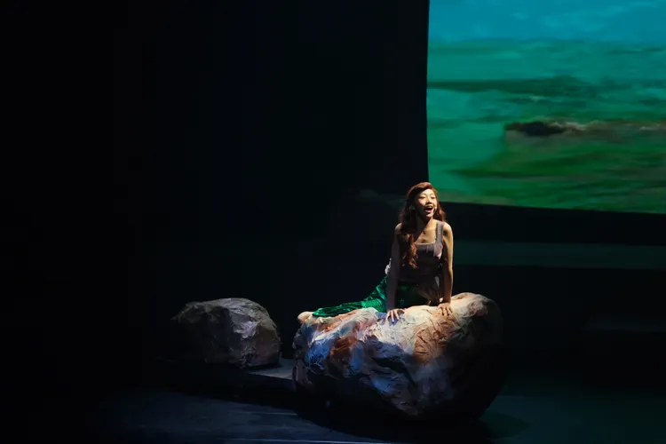 演出同學們事前都經過數個月的訓練，表現很專業。